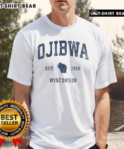 Alt Text: Premium Ojibwa Wisconsin vintage athletic sports T-shirt featuring a classic design and comfortable fit for fans.
