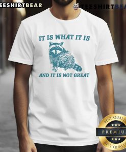Alt Text: Raccoon graphic T-shirt with the phrase 'It Is What It Is And It Is Not Great Mental Health' for casual wear.
