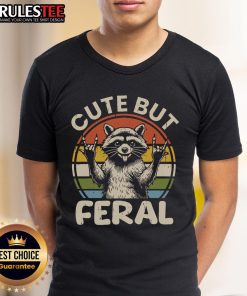 Vintage retro sunset T-shirt featuring a cute but feral raccoon design, perfect for animal lovers and unique fashion.