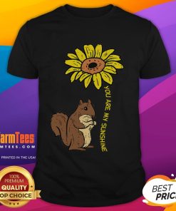 Cute squirrel sunflower design on 'You Are My Sunshine' t-shirt, perfect for nature lovers and casual wear.