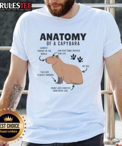 Funny Anatomy Of A Capybara T-Shirt featuring a humorous illustration of capybara anatomy and playful text design.