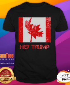 Funny Hey Trump Canada Democrats T-Shirt featuring humorous graphics, perfect for Canadians and political satire lovers.
