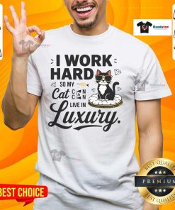 Funny I Work Hard So My Cat Can Live In Luxury T-Shirt featuring a playful design for cat lovers and pet owners.