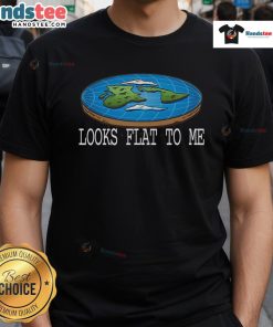 Funny Flat Earth Society T-Shirt featuring a humorous 'Looks Flat To Me' design for flat earthers and enthusiasts.