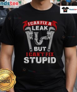 Funny plumber t-shirt featuring 'I Can Fix A Leak But I Can't Fix Stupid' slogan, perfect for plumbing humor lovers.