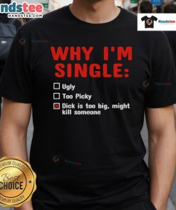 Alt Text: Funny 'Why I'm Single' T-Shirt featuring humor about oversized expectations, perfect for casual wear.