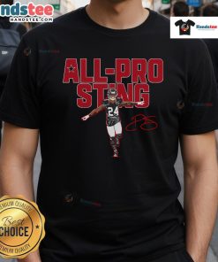 Nice All Pro Sting Football Lover Team Player T-Shirt featuring a bold design for passionate football fans.