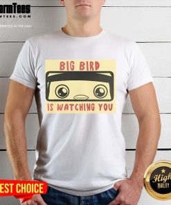 Nice Luca Netz Pudgy Penguins Big Bird t-shirt featuring a cute penguin design with Big Bird watching you.