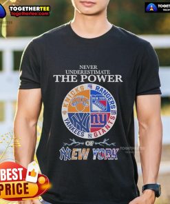 Alt Text: Official Never Underestimate The Power Of New York T-Shirt design featuring bold typography on a stylish tee.