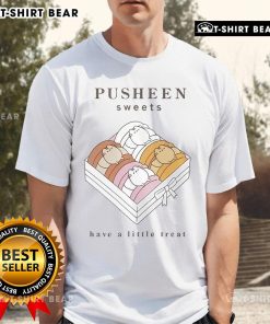 Top Pusheen Sweets Have A Little Treat T-Shirt featuring cute Pusheen graphics and colorful dessert designs.