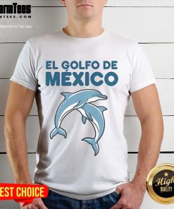 Adorable dolphin graphic on a 'Gulf of Mexico' T-shirt, perfect for ocean lovers and beach enthusiasts.