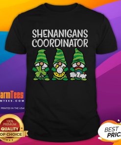 Alt Text: Funny St Patrick's Day gnome t-shirt featuring a whimsical design for a shenanigans coordinator teacher.