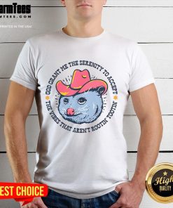 Good Accept The Vibes T-Shirt featuring a funny opossum design perfect for casual wear and animal lovers.