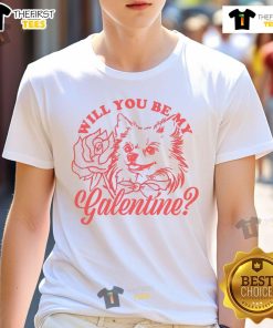 Official Will You Be My Galentine Hatchi T-Shirt featuring a fun, stylish design perfect for Galentine's Day celebrations.