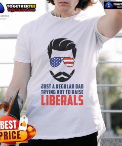 Top Just A Regular Dad Trying Not To Raise Liberals T-Shirt design featuring bold text for humorous parenting.