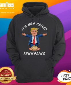 Funny dumpling hoodie featuring Donald Trump as 'Trumpling', perfect for humorous fashion lovers.