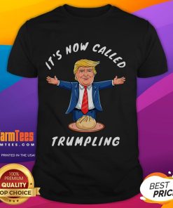 Funny Dumpling T-shirt featuring 'It's Now Call Trumpling' design with Donald Trump, perfect for humor and political satire.