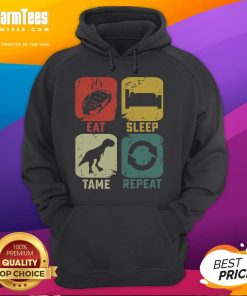 Alt Text: Funny Eat Sleep Tame Repeat Dinosaur Gaming Gamer Hoodie design featuring a playful dino graphic for gaming enthusiasts.