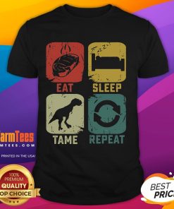 Funny Eat Sleep Tame Repeat Dinosaur Gaming T-Shirt for gamers, featuring a playful dino design perfect for game lovers.
