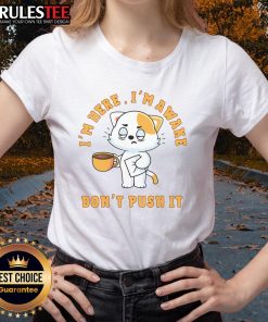 Funny 'I'm Here, I'm Awake, Don't Push' cat coffee ladies tee featuring a playful cat design, perfect for coffee lovers.