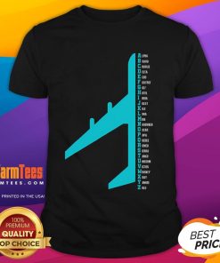 Funny phonetic alphabet pilot aviator lover T-shirt featuring humorous aviation-themed graphic design.