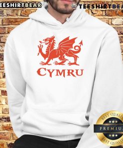 Alt Text: Stylish Nice Cymru Wales Cardiff dragon hoodie featuring vibrant design, perfect for Welsh pride and casual wear.