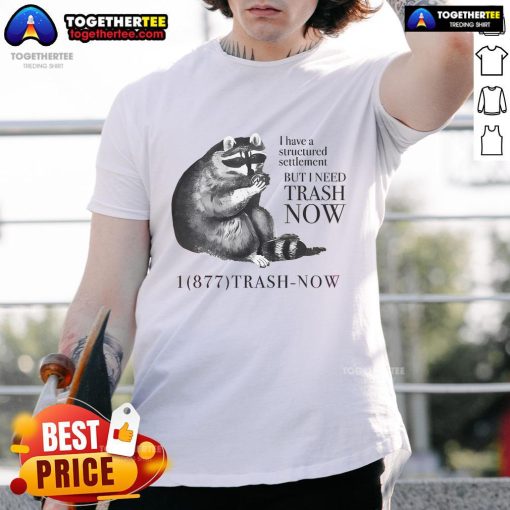 Alt Text: Funny raccoon graphic on 'I Have A Structured Settlement But I Need Trash Now' t-shirt design