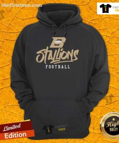 Stylized text hoodie featuring the Top Birmingham Stallions logo in vibrant colors, perfect for fans and casual wear.