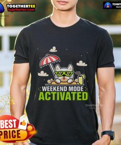 Top Weekend Mode Activated Chill Beach Cat T-Shirt featuring a relaxed feline design, perfect for casual summer outings.