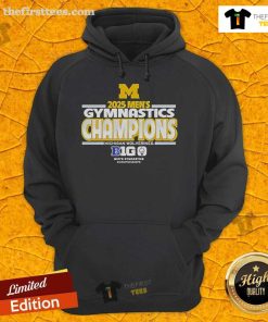 AwesomeMichigan Wolverines 2025 Big Ten Men's Gymnastics Tournament Champions hoodie showcasing team pride and victory.