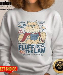 Alt Text: Cute fluffy cat wearing a Fluff Is The Law sweatshirt with static hair, showcasing its adorable personality.