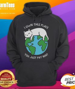 Cute hoodie with 'I Own This Place, You Just Pay Rent' slogan, perfect for renters who love stylish, fun apparel.