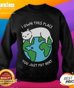 Cute 'I Own This Place, You Just Pay Rent' sweatshirt displayed on a colorful background, perfect for cozy style.