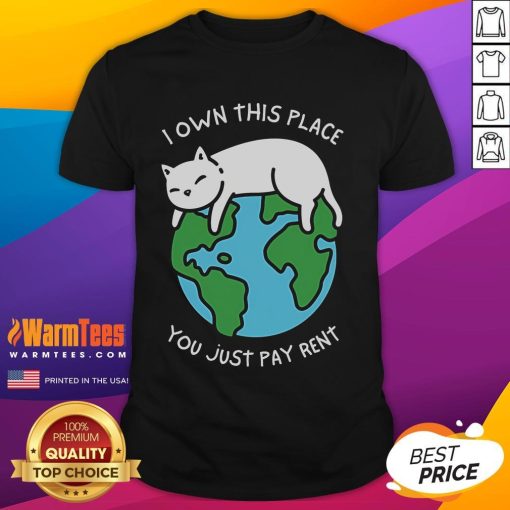 Alt Text: Cute 'I Own This Place You Just Pay Rent' T-Shirt design featuring playful typography on a casual tee.