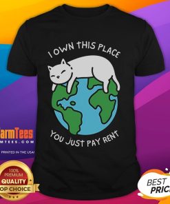 Alt Text: Cute 'I Own This Place You Just Pay Rent' T-Shirt design featuring playful typography on a casual tee.