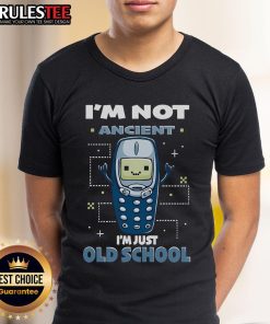 Alt Text: Cute 'I'M Not Ancient I'M Just Old School' T-Shirt featuring retro design for vintage style lovers.