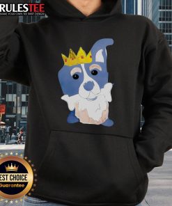 Alt Text: Cute king dog in a cartoon hoodie happily chewing on bones, showcasing playful and royal pet fashion.