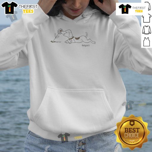 Adorable dog wearing a Cute OnlyNY hoodie, showcasing stylish pet fashion for a cozy look.