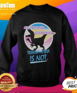 Funny dinosaurs sweatshirt with 'Dinosaurs Are Cool, Transphobia Is Not' slogan, promoting inclusivity and humor.
