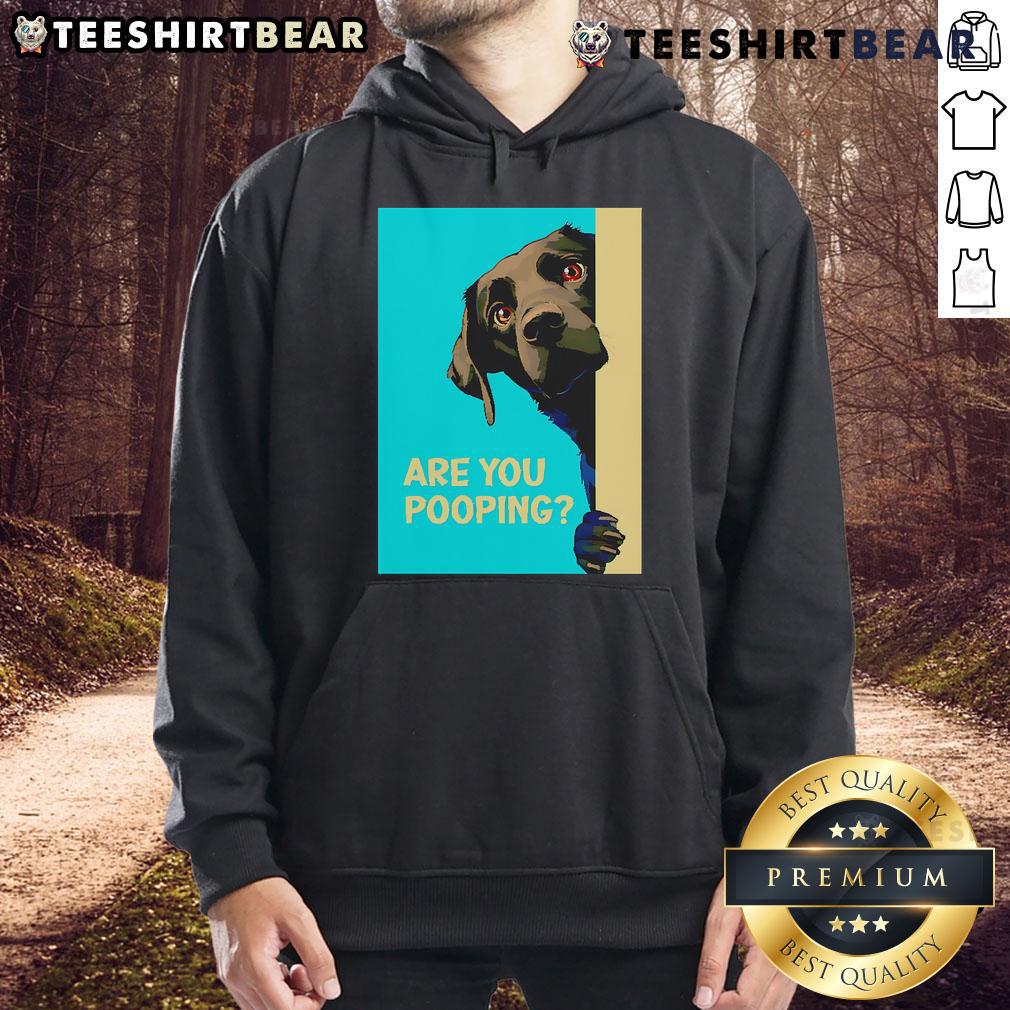 Funny Dog Are You Pooping Hoodie Funny dog wearing a hoodie with 'Are You Pooping?' text, showcasing a humorous pet fashion statement.