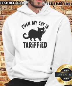 Funny cat in a creepy hoodie, showcasing a terrified expression that adds humor to its scary kitten face.