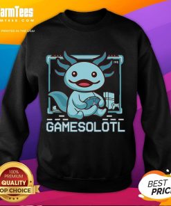 Funny Gamesalotl Boy in an Axolotl-themed gaming sweatshirt, showcasing a playful gaming vibe for video game enthusiasts.
