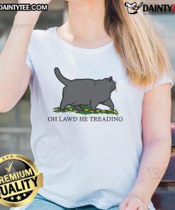 Alt Text: Funny Oh Lawd He Treading fat cat graphic on a ladies tee, perfect for cat lovers and casual wear.