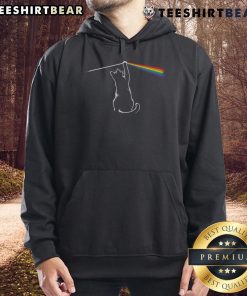 Funny cat wearing a playful light-themed hoodie, showcasing adorable antics and unique fashion style.