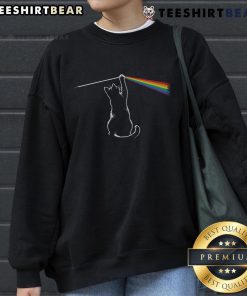 Funny cat playing with light in a cozy sweatshirt, perfect for cat lovers and humor enthusiasts.