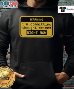 Funny warning hoodie saying 'I'm committing thought crimes right now' in a playful, bold font for a humorous fashion statement.