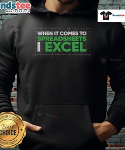 Funny accountant hoodie with 'When it comes to spreadsheets, I Excel' design, perfect for spreadsheet lovers and humor.