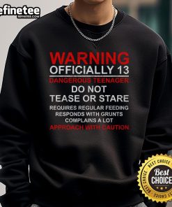 13th birthday sweatshirt featuring 'Warning: Dangerous Teenager' design for a fun and edgy gift for 13-year-olds.