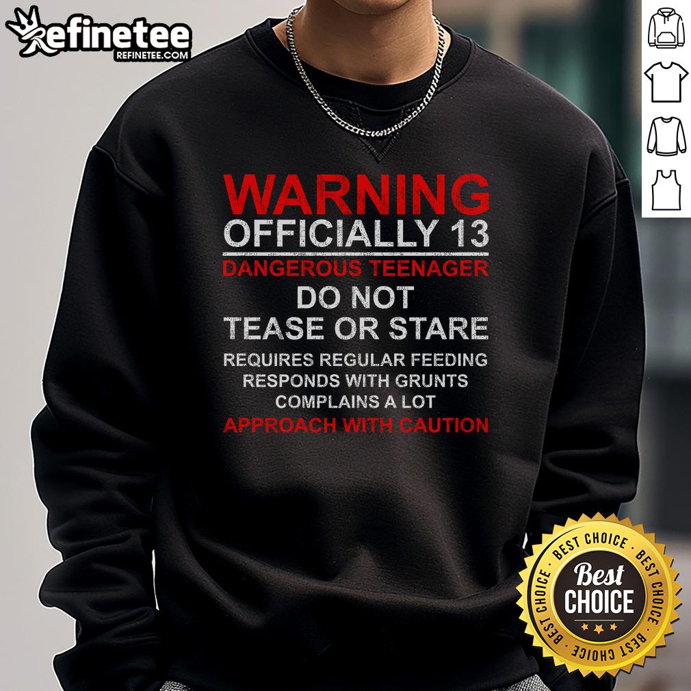 Good 13 Years Old Warning Dangerous Teenager 13Th Birthday Sweatshirt 13th birthday sweatshirt featuring 'Warning: Dangerous Teenager' design for a fun and edgy gift for 13-year-olds.