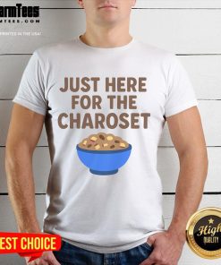 Good Passover desert Jewish food Charoset T-Shirt featuring a vibrant design celebrating traditional Passover cuisine.